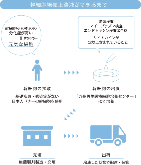 幹細胞培養上清液ができるまで
