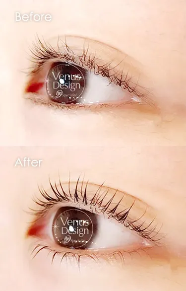 ヴィーナスデザイン上下まつ毛パーマBeforeAfterの画像