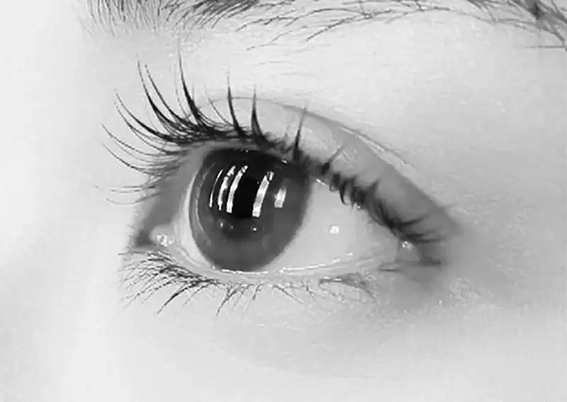 ヴィーナスデザイン　マスカラが映える美しいまつ毛