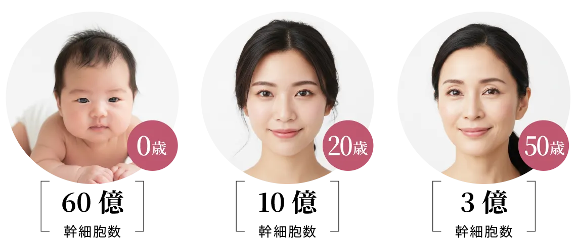 幹細胞数と年齢