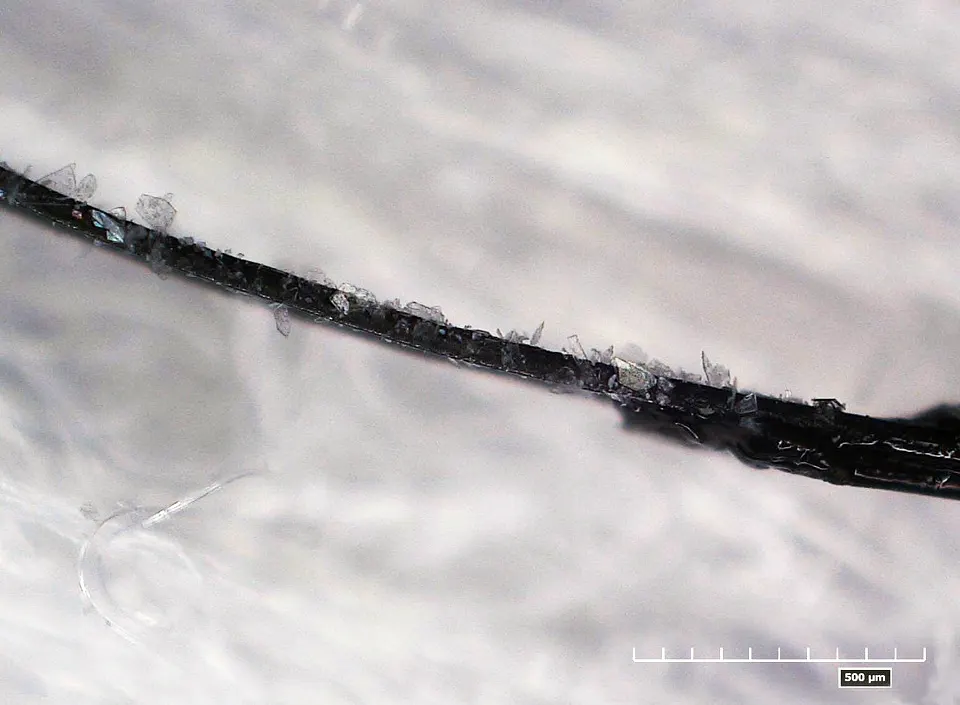 まつ毛パーマ施術風景の写真