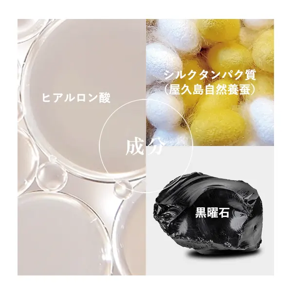 アイスペシャリテ シルキーハイパーモイスチャーライザー_スライド 2